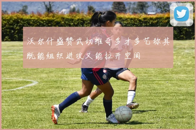 沃尔什盛赞武切维奇多才多艺称其既能组织进攻又能拉开空间