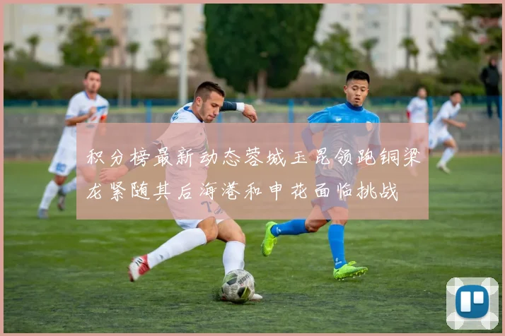 积分榜最新动态蓉城玉昆领跑铜梁龙紧随其后海港和申花面临挑战