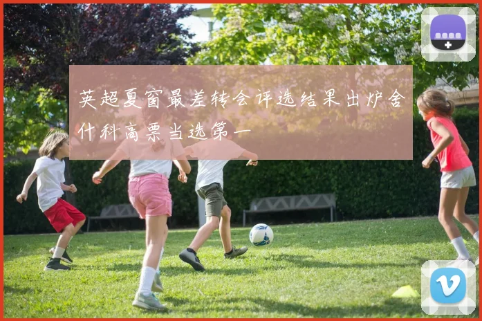 英超夏窗最差转会评选结果出炉舍什科高票当选第一