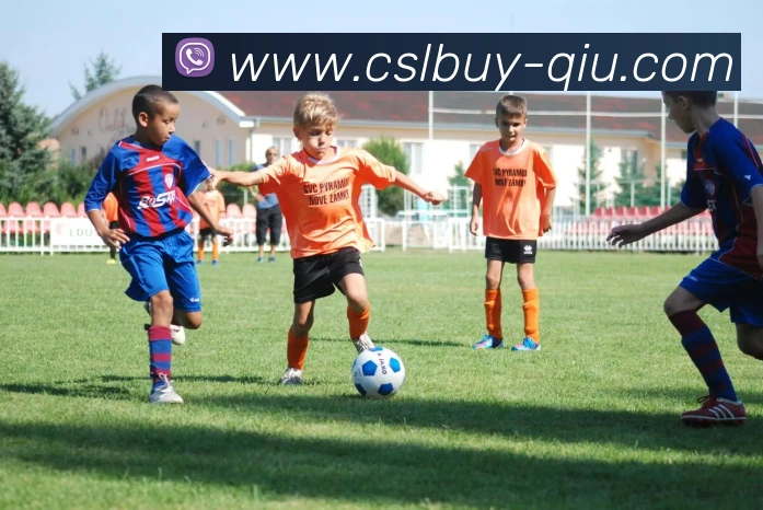 中超买球官网APP 封面图