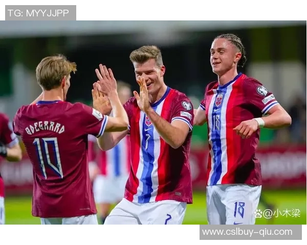 哈兰德在欧洲世预赛中独进9球超越39支球队的进球总和 哈兰德在欧洲世预赛中独进9球超越39支球队的进球总和